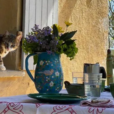 Lexis Retreats Cazaubon